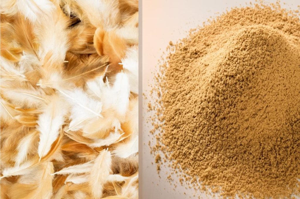Feather Meal Machine